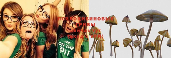 трава Аркадак
