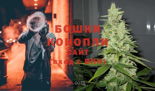 трава Аркадак