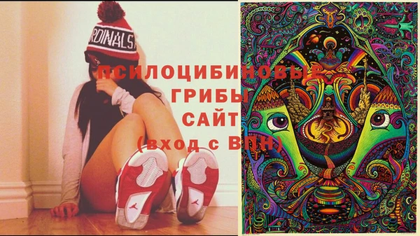 кокаин перу Арсеньев