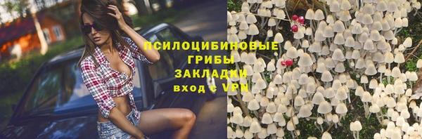 трава Аркадак