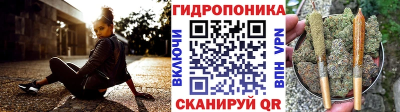 купить наркоту  Зубцов  Конопля White Widow 